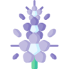 开云APP logo