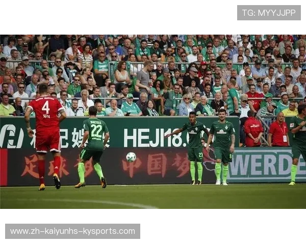 黄黑对决红蓝争锋：解读北威州德甲德比的足球生态与文化影响